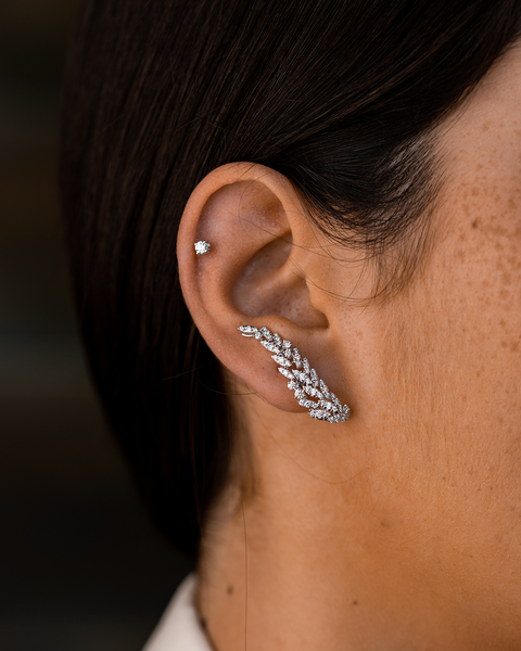 White Gold and Diamonds Earrings