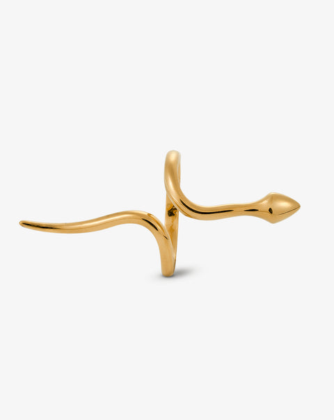 Snake Ring III