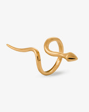 Snake Ring III