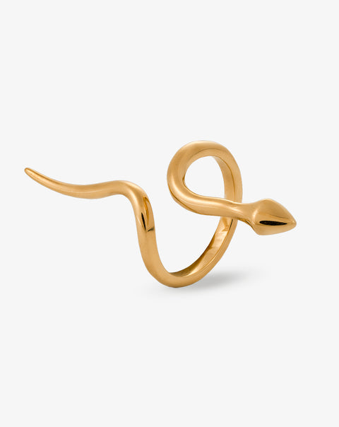 Snake Ring III